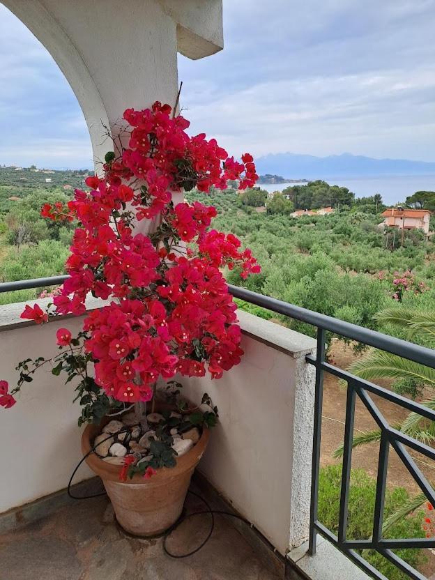 Villa Mariana Koroni  Bagian luar foto