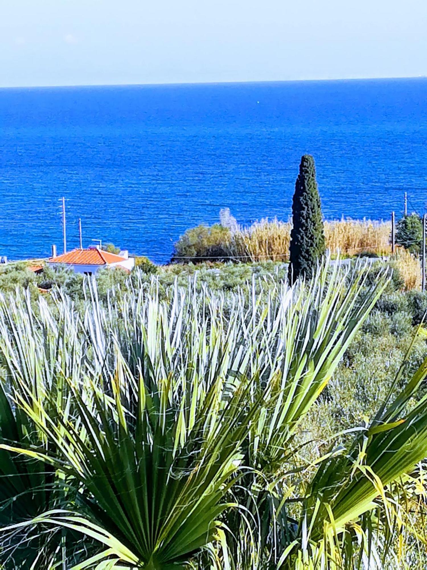 Villa Mariana Koroni  Bagian luar foto