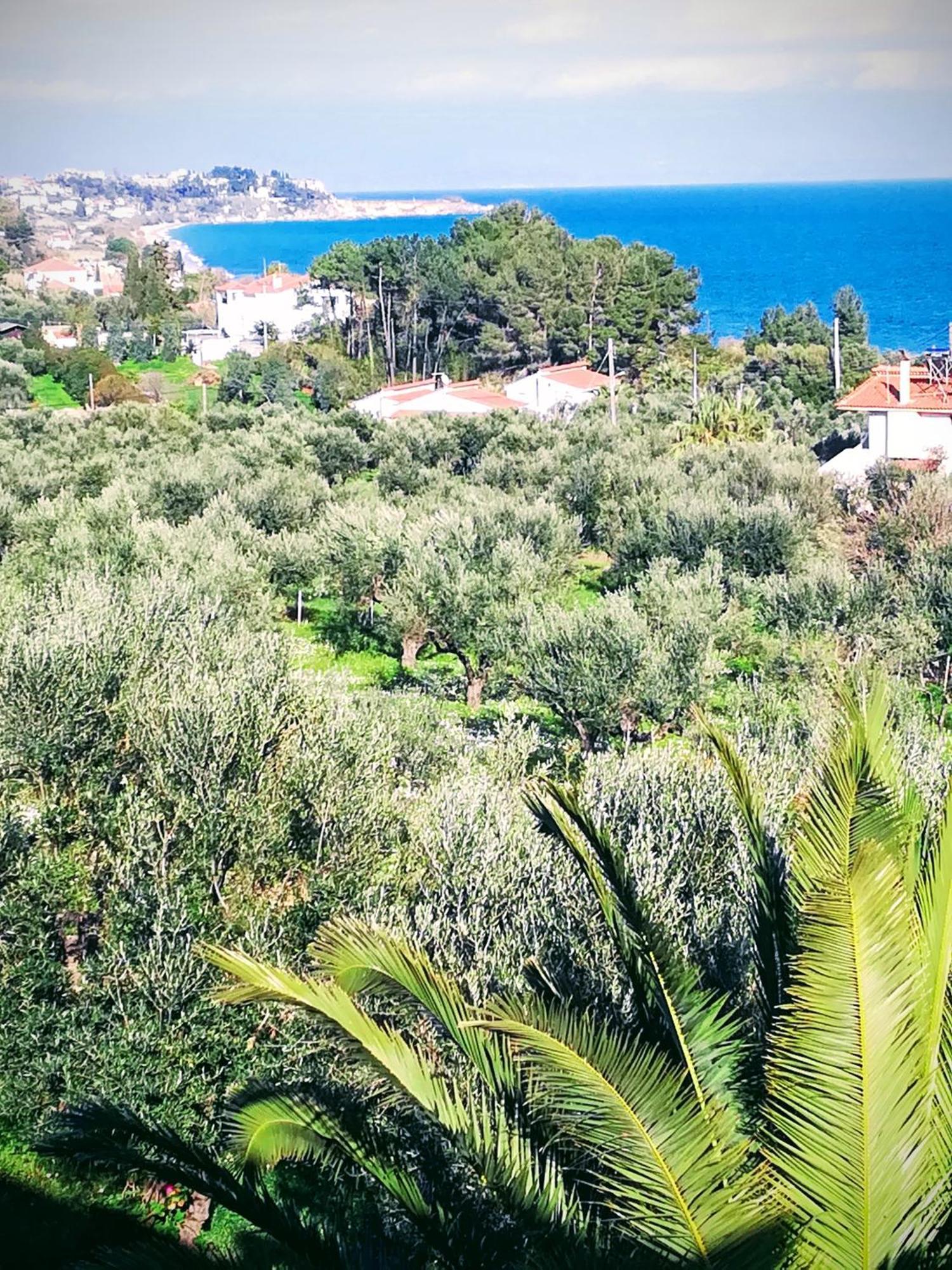 Villa Mariana Koroni  Bagian luar foto