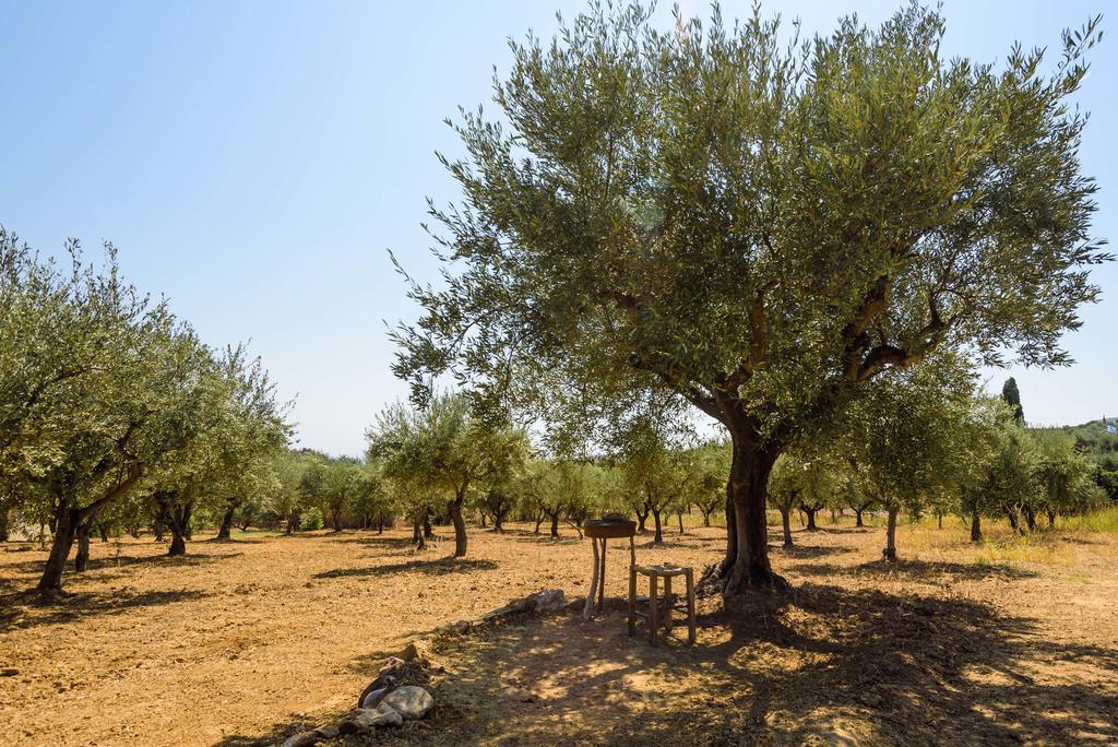 Villa Mariana Koroni  Bagian luar foto
