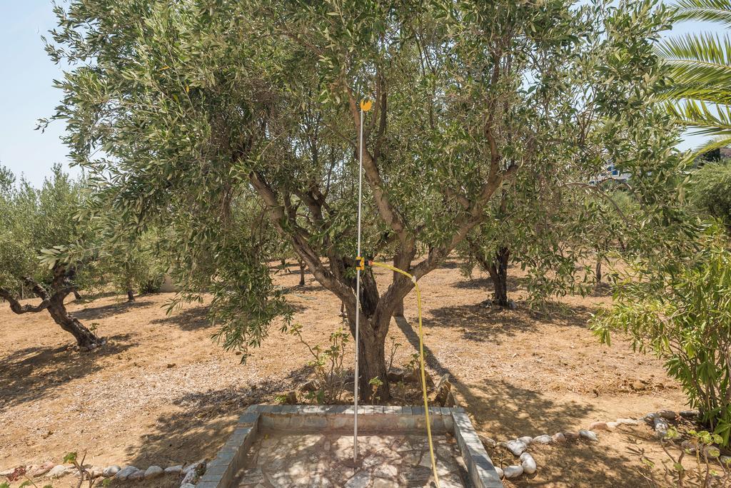 Villa Mariana Koroni  Bagian luar foto